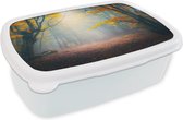 Broodtrommel Wit - Lunchbox - Brooddoos - Bos - Mist - Herfst - 18x12x6 cm - Volwassenen