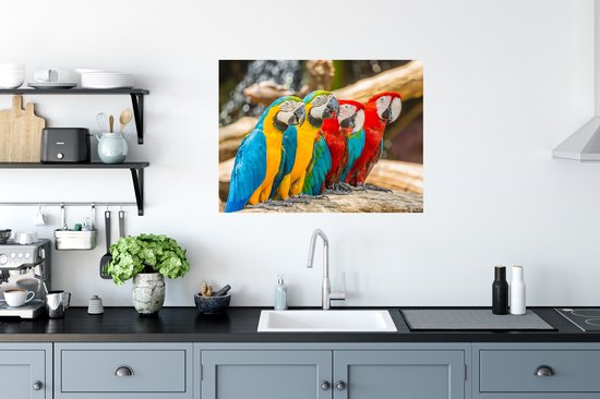Stickers muraux - Vogels - Perroquet - Tropical - Nature - 80x60 cm - Feuille adhésive