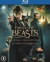 Fantastic Beasts 1 - 3 (Blu-ray)