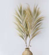 Rayung Gras Pluimen Blond - Decoratieve Pluimen - 1.6m - Handgemaakt