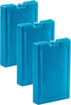 6x stuks 1000 grams koelelementen 22 x 14.5 x 3.5 cm blauw plastic