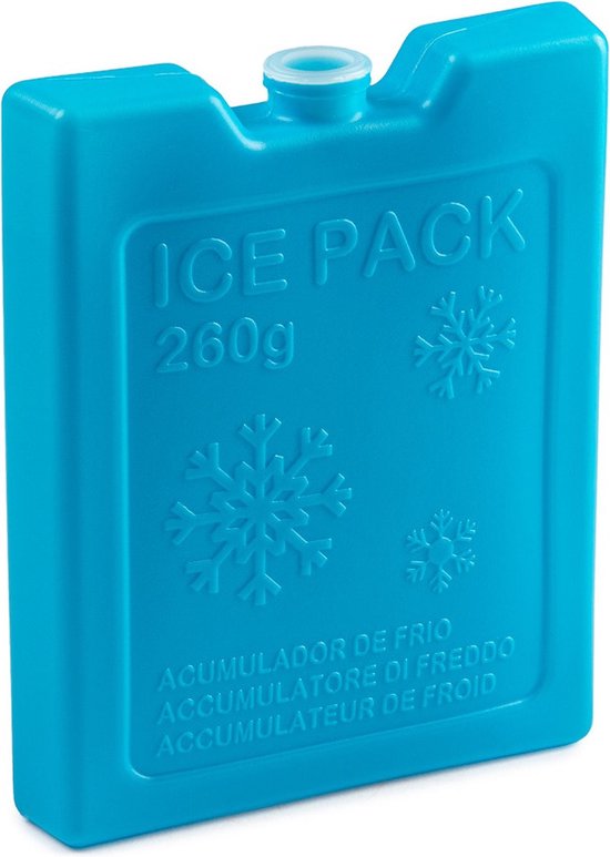 6x stuks 260 grams koelelementen 13 x 10.5 x 2 cm blauw plastic van Abbey Camp — afbeelding 2