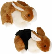 Setje van 2x stuks pluche knuffel konijnen van 20 cm - Dieren knuffels