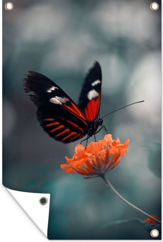 Tuinposter - Vlinder - Bloem - Natuur - Tuindoek - 60x90 cm - Tuinposter vlinder