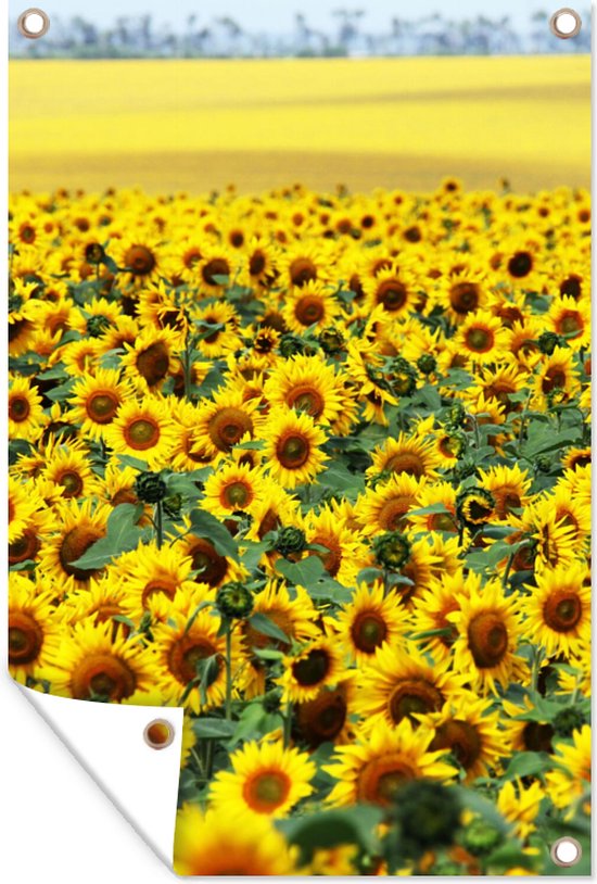 Tuinposter - Bloemen - Zonnebloemen - Tuindecoratie - Bloemenveld - 120x180 cm - Tuinschilderij - Tuindoek