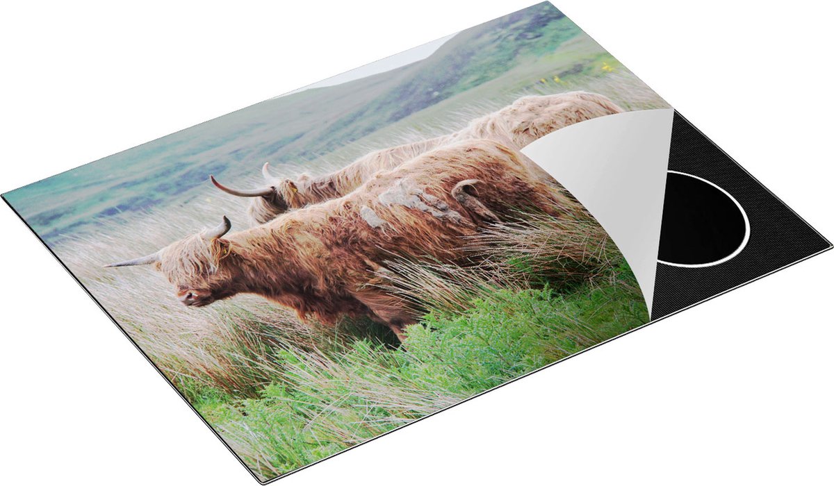 Chefcare Inductie Beschermer Twee Schotse Hooglanders in het Heuvelvelachtige Veld - 70x52 cm - Afdekplaat Inductie - Kookplaat Beschermer - Inductie Mat