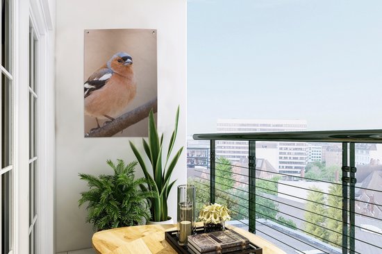 Poster de Jardin Vogel - Animaux - Pinson - 200x200 cm - Toile de jardin