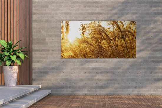 Affiche de jardin - Pampa - Herbe de la pampa - Herbe - Plante - Or - 160x80 cm - Posters de jardin - Jardin - Décoration murale - Décoration de jardin - Toile de jardin - Affiche extérieure