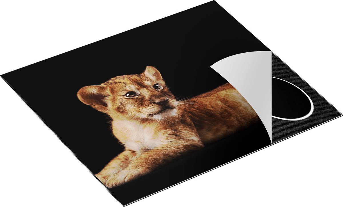Chefcare Inductie Beschermer Leeuwen Welp op het Zwart - Baby Leeuw - 57,6x51,6 cm - Afdekplaat Inductie - Kookplaat Beschermer - Inductie Mat