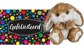 Pluche knuffel cadeau Konijn 18 cm met A5-size Gefeliciteerd wenskaart - Verjaardag cadeau opsturen - Jongen/meisje