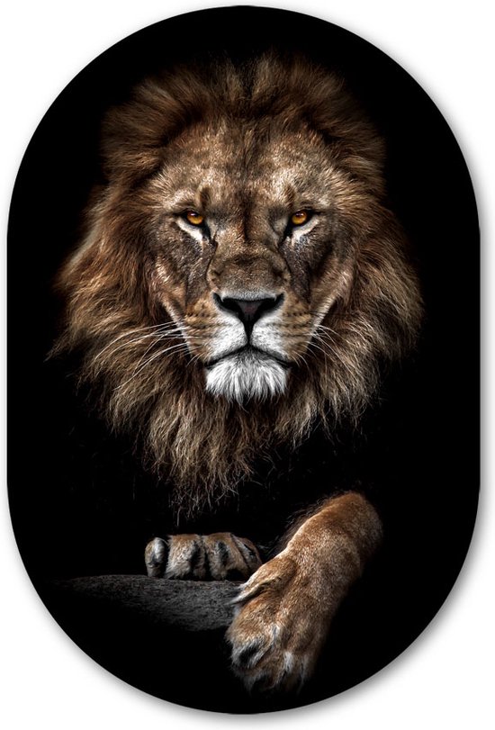 Muurovaal Lion King - WallCatcher | Acrylglas 100x150 cm | Ovalen schilderij | Wandovaal Leeuwenkoning