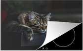 KitchenYeah® Inductie beschermer 80x52 cm - Kat ligt op een zwarte tafel te slapen - Kookplaataccessoires - Afdekplaat voor kookplaat - Inductiebeschermer - Inductiemat - Inductieplaat mat