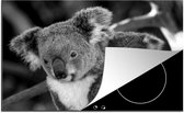 KitchenYeah® Inductie beschermer 80x52 cm - Koala's - Vader - Zoon - Kids - Jongens - Meiden - Kookplaataccessoires - Afdekplaat voor kookplaat - Inductiebeschermer - Inductiemat - Inductieplaat mat
