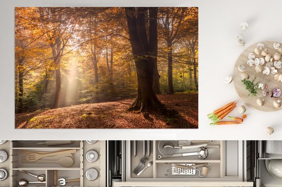 KitchenYeah® Inductie beschermer 78x52 cm - Herfst - Bos - Bomen - Kookplaataccessoires - Afdekplaat voor kookplaat - Inductiebeschermer - Inductiemat - Inductieplaat mat