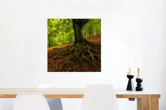 Poster Arbre - Forêt - Feuilles d'Automne - 50x50 cm