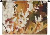 Tapisserie - Toile Murale - Nature - Feuilles d'Automne - Rural - 120x90 cm - Tapisserie
