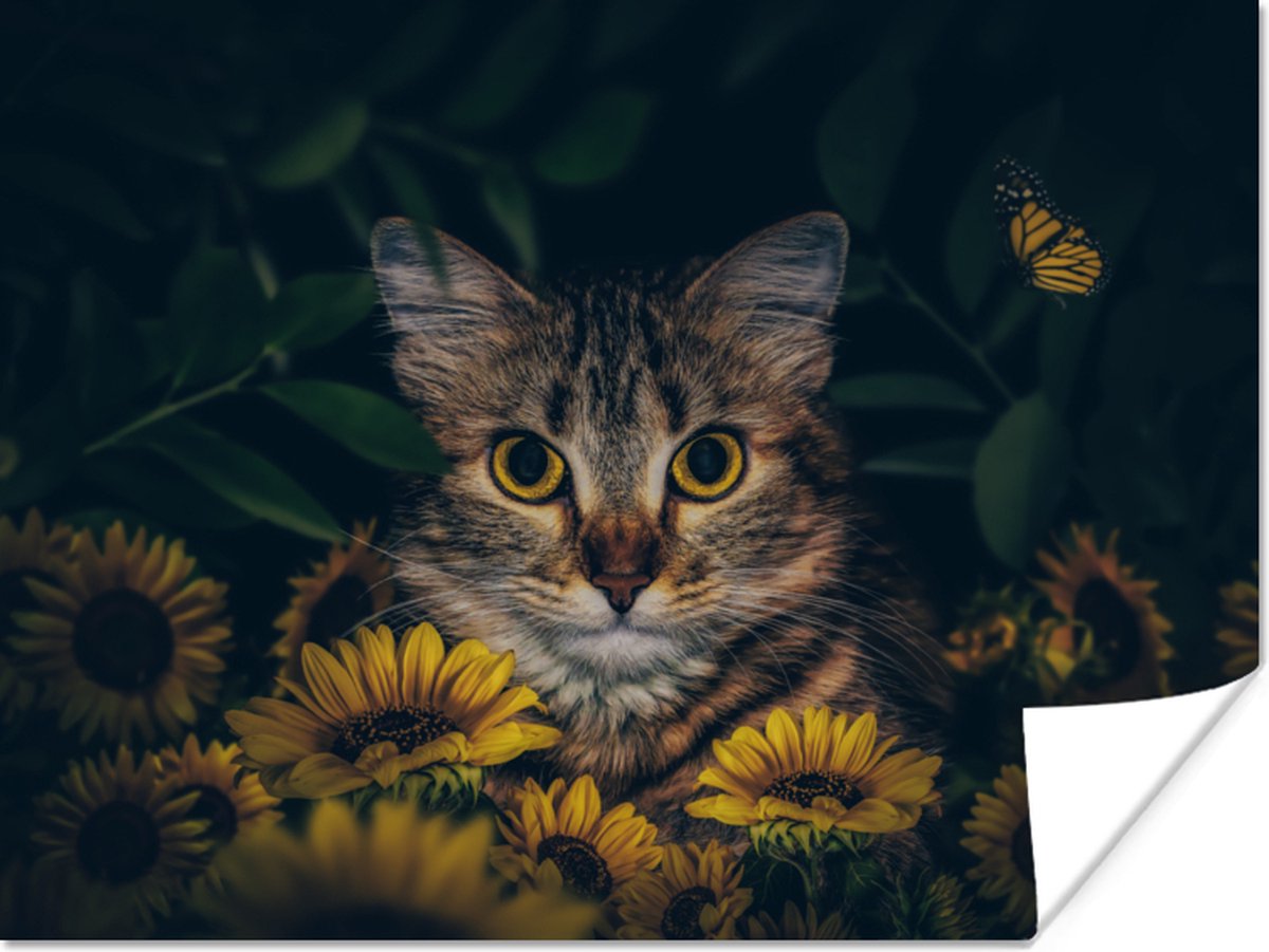 Poster Kat - Geel - Bloemen - Botanisch - 80x60 cm