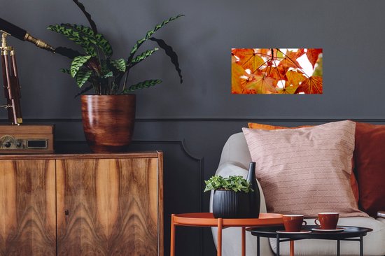 Affiche Branches d'Automne - Feuilles - Saisons - Rural - 40x20 cm