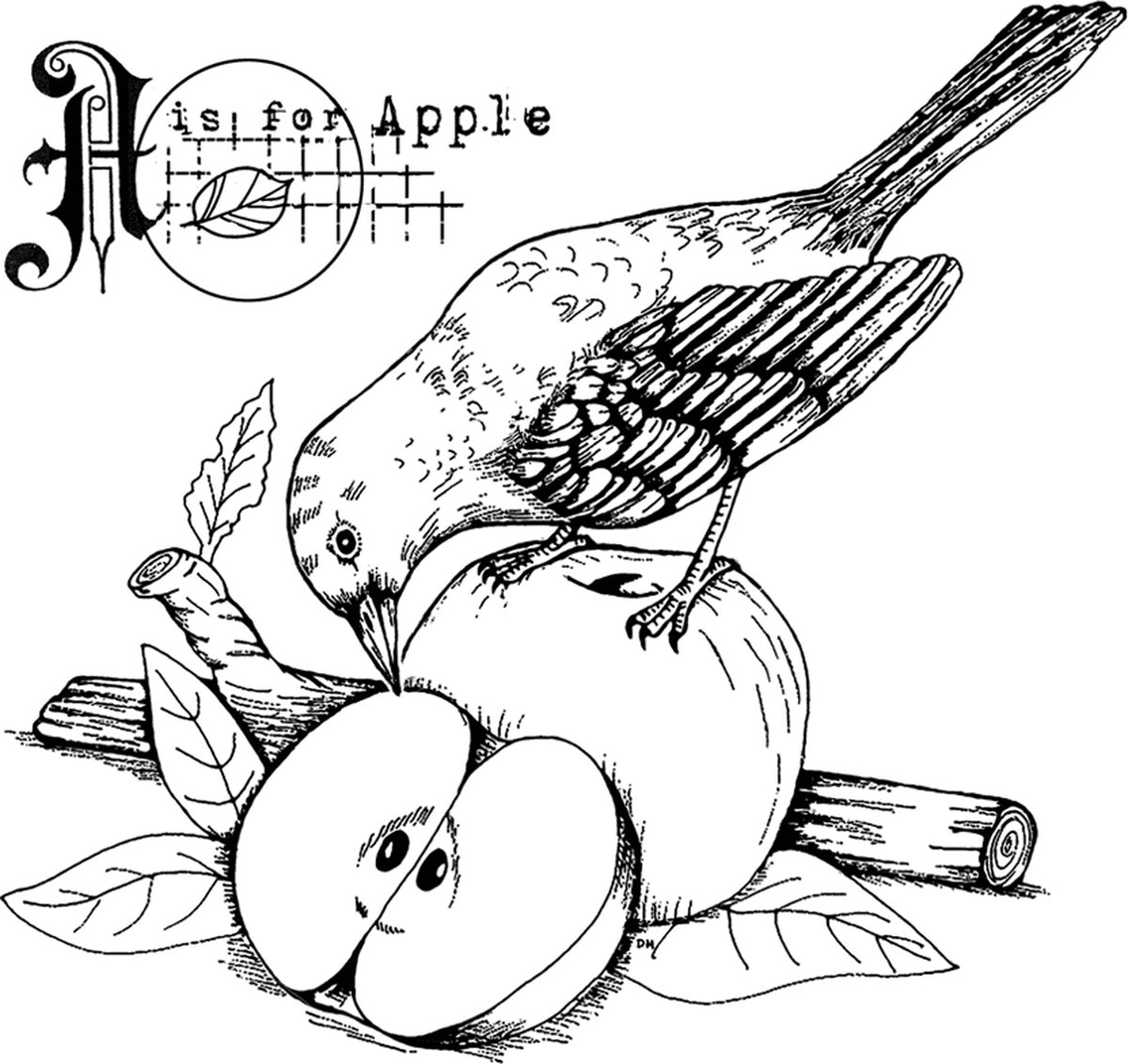 A is for Apple Unmounted Rubber Stamps (CI-601)