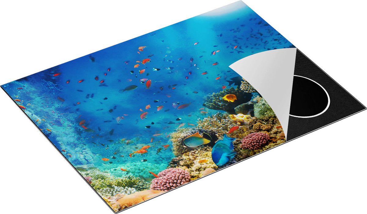 Chefcare Inductie Beschermer Onderwater Vissen met Koraal in de Zee - 70x50 cm - Afdekplaat Inductie - Kookplaat Beschermer - Inductie Mat