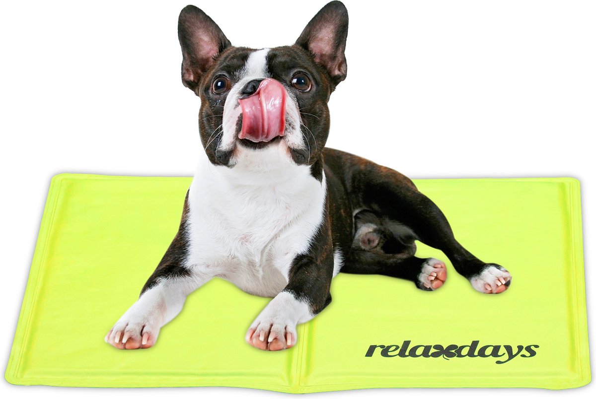 Bol.com koelmat hond - 40 x 50 cm - gel - afwasbaar - voor huisdieren - groen aanbieding