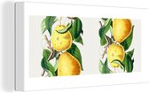 Canvas Schilderij Peren - Fruit - Eten - 40x20 cm - Wanddecoratie