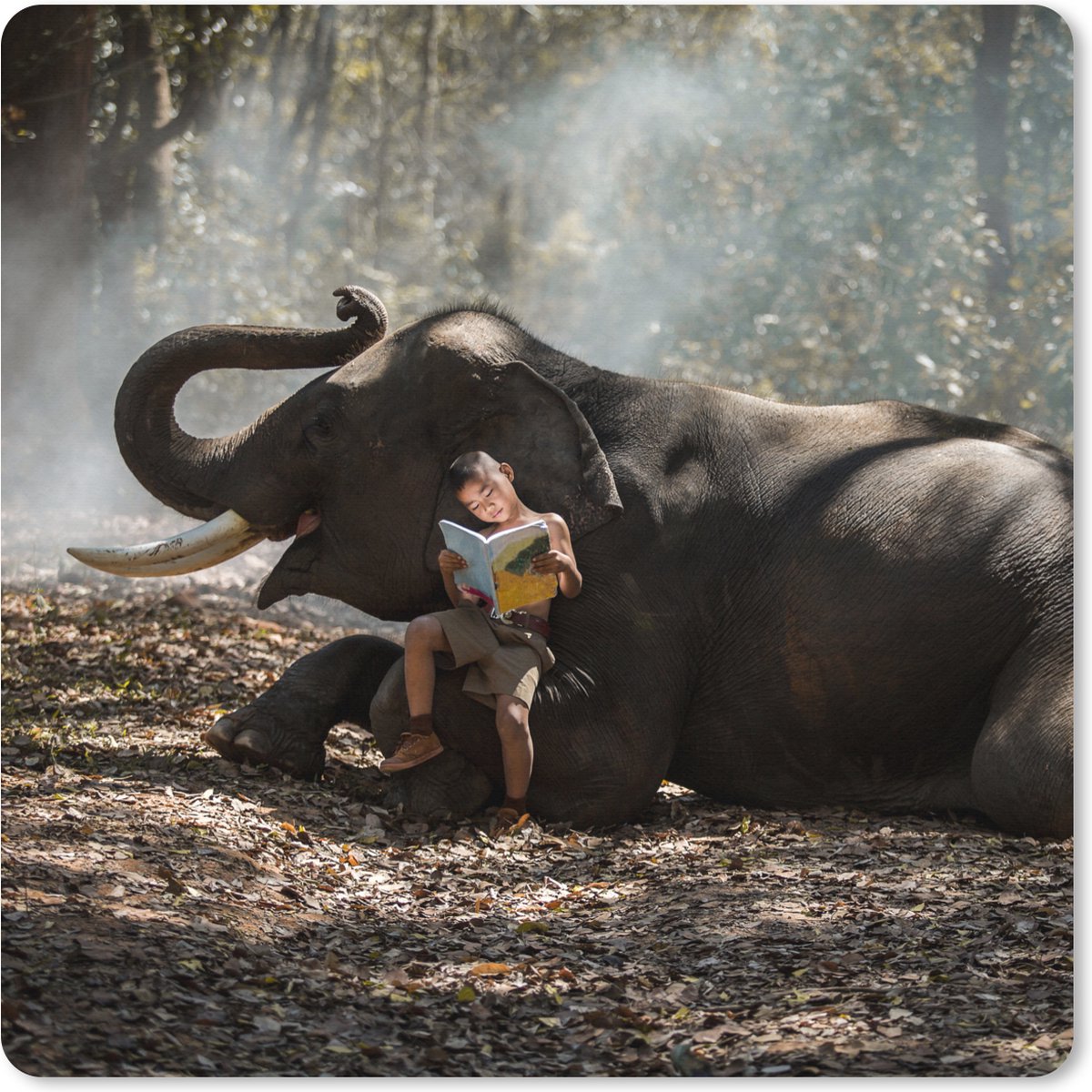 Muismat XXL 80x80 cm - Bureau onderlegger - Bureau mat Olifant - Jongen - Boek - Bos - Dieren - Natuur - Bureaumat - Gaming mousepad xl - Bureaulegger groot - Computer deskmat