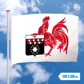 Vlag Charleroi 200x300cm