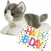 Pluche knuffel kat/poes grijs/witte van 20 cm met A5-size Happy Birthday wenskaart - Verjaardag cadeau setje