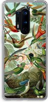 Case Company® - Hoesje geschikt voor OnePlus 8 Pro hoesje - Haeckel Trochilidae - Soft Cover Telefoonhoesje - Bescherming aan alle Kanten en Schermrand