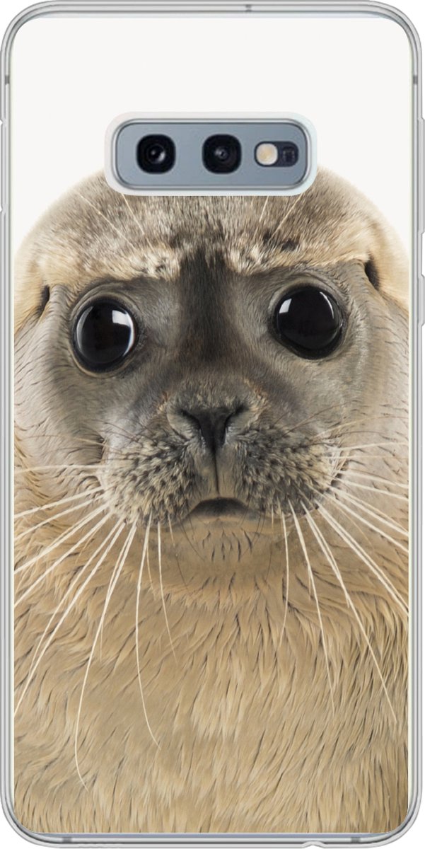 Telefoonhoesje Geschikt voor Samsung Galaxy S10e hoesje - Jongens - Zeehond - Kinderen - Meisjes - Dieren - Siliconen Telefoonhoesje Telefoonhoesje