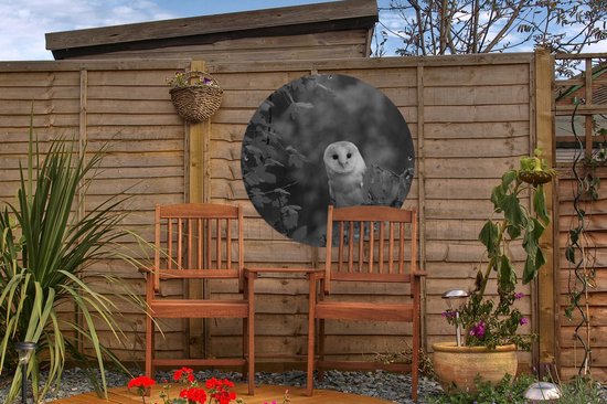 Cercle de jardin Hibou sur une branche - noir et blanc - 60x60 cm - Affiche de jardin ronde - Extérieur