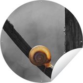 Tuincirkel Slak kruipt op takje - 60x60 cm - Ronde Tuinposter - Buiten