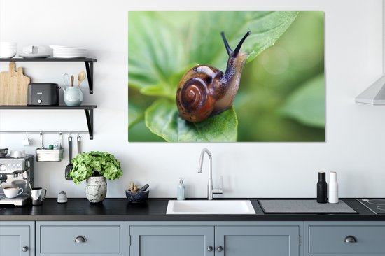 Tableau sur toile Escargot sur feuille - 120x80 cm - Décoration murale