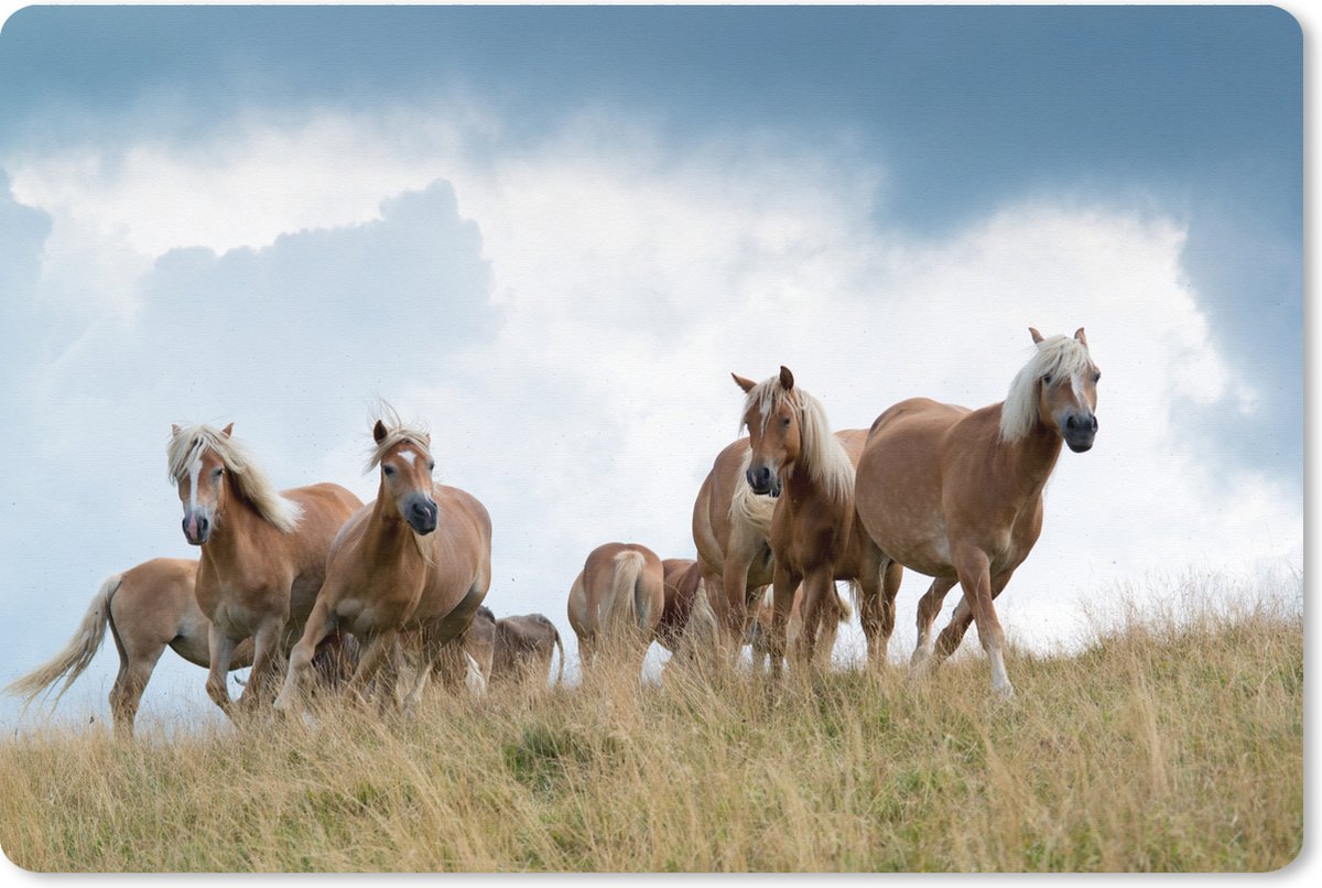 Muismat XXL - Bureau onderlegger - Bureau mat - Haflinger paarden - 90x60 cm - XXL muismat
