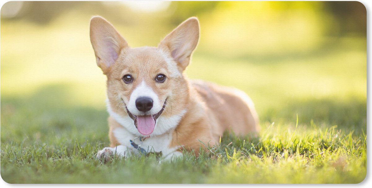 Muismat XXL 90x45 cm - Bureau onderlegger - Bureau mat Welsh Corgi-puppy - Bureaumat - Gaming mousepad xl - Bureaulegger groot - Computer deskmat