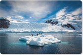 Muismat XXL - Bureau onderlegger - Bureau mat - Pinguïns zijn aan het relaxen op een ijsberg bij Antarctica - 90x60 cm - XXL muismat
