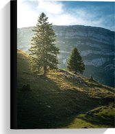 Canvas  - Bergen met Bomen en Zonlicht - 30x40cm Foto op Canvas Schilderij (Wanddecoratie op Canvas)