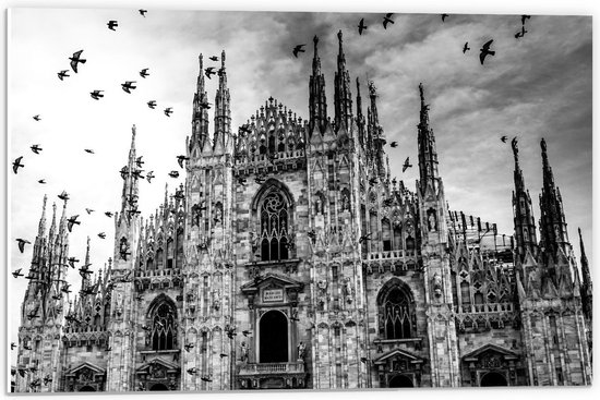 Forex - Kathedraal van Milaan met Vogels Zwart - Wit - 60x40cm Foto op Forex
