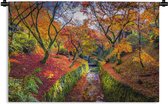 Wandkleed Esdoorn - Uitzicht op de kleurrijke bladeren van de esdoorns Wandkleed katoen 150x100 cm - Wandtapijt met foto