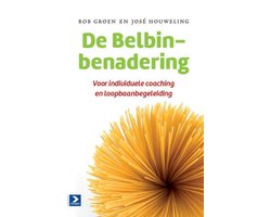 De Belbin-benadering