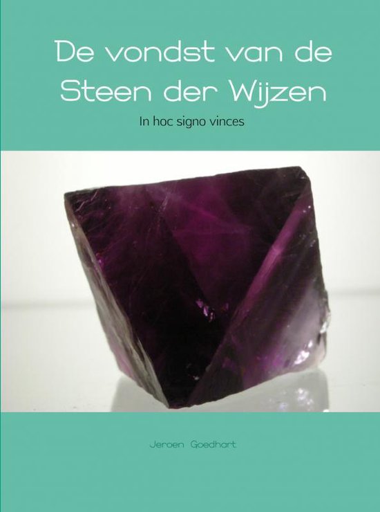 Cover van het boek 'De vondst van de Steen der Wijzen'