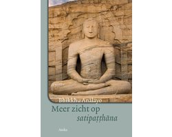 Meer zicht op satipatthana