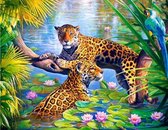 Schilderen Op Nummer Volwassenen - Met Frame - Paint By Number - Hobby  - Dieren - Luipaarden in de Jungle  30x40 cm