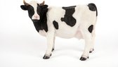 vache noire et blanche debout