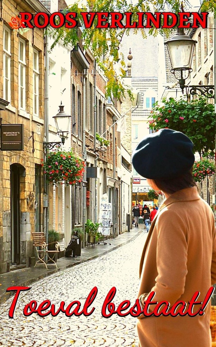 Omslag van Toeval bestaat!