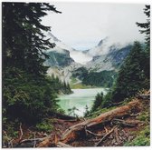 Dibond - Bergen met Boomstronk - 50x50cm Foto op Aluminium (Met Ophangsysteem)