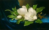 Martin Johnson Heade, Reuzenmagnolias op een blauwfluwelen doek 1890 op canvas, afmetingen van dit schilderij zijn 45 X 100 CM