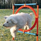 Agility Ring Hoepel Voor Hondentraining-1 stuks