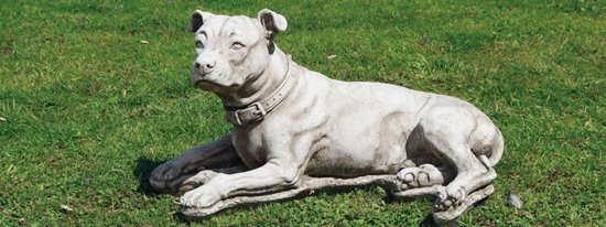 lading toevoegen aan Verhoogd Tuinbeeld Grote Pitbull Hond | Stenen Beelden | Dieren Beelden | Stenen  Honden... | bol.com